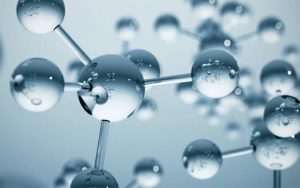 Collagen thủy phân có những loại nào?